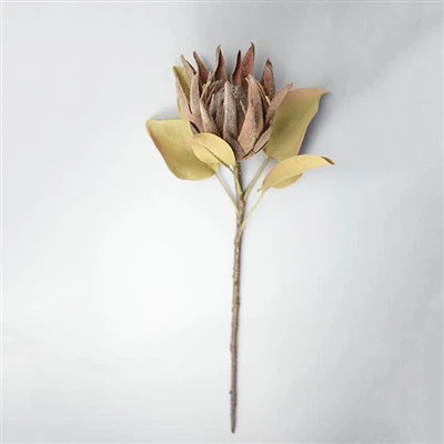 زهرة استوائية مجففة صناعية