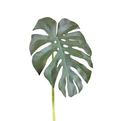 أوراق الشجر الاستوائية الاصطناعية