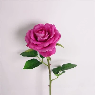 سيقان زهرة ذات ملمس طبيعي