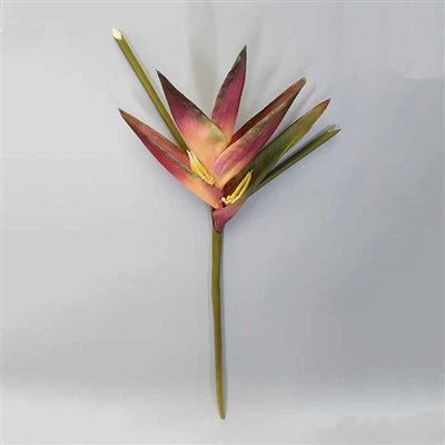 زهرة استوائية ذات مظهر حقيقي